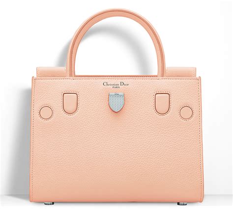 nordstrom dior bag